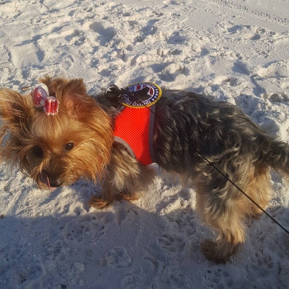 Meet your Posher, Courtney - Picture 1 of 2